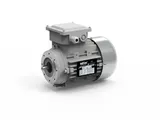 Transtecno TS Series three phase AC electric motor with aluminium frame and flange mounting