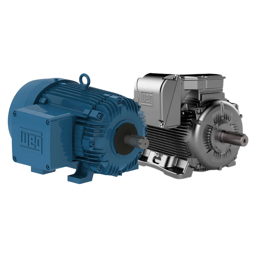 WEG Motors collection