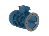 WEG W22 three phase electric motor in cast iron frame