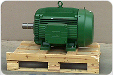 110kW WEG motor — Motordrives Australia special project