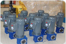 Fruit graders — Motordrives Australia special project